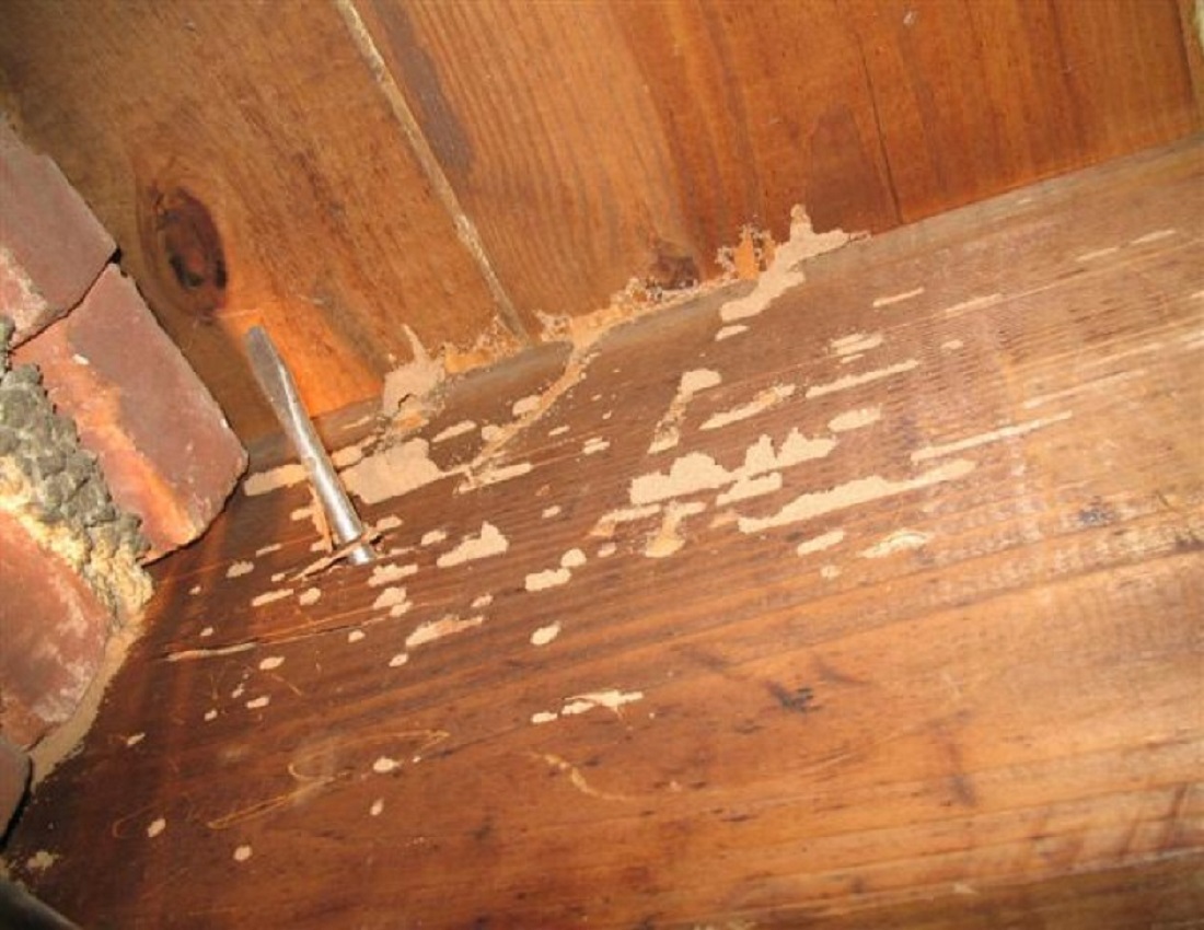 protecting wooden furniture against termites